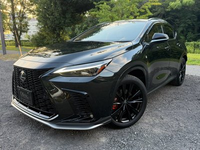 2025 Lexus NX photo 6