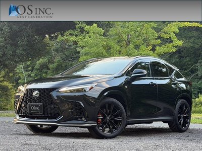 2025 Lexus NX photo 1