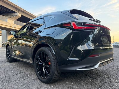 2025 Lexus NX — миниатюра 28
