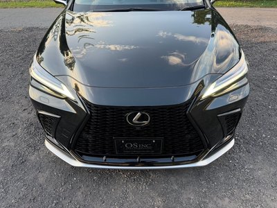2025 Lexus NX — миниатюра 18