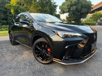2025 Lexus NX — миниатюра 13