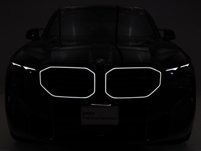 2024 BMW XM — миниатюра 23