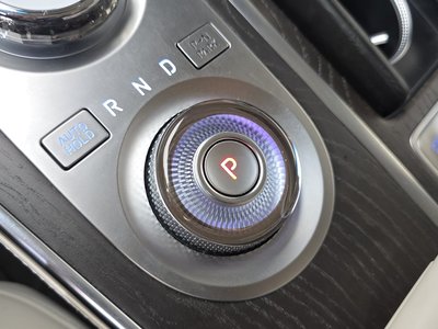 GENESIS GV80 - 9
