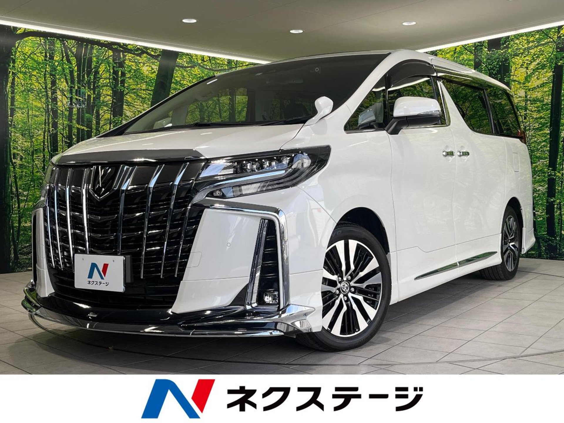 TOYOTA ALPHARD - View 1