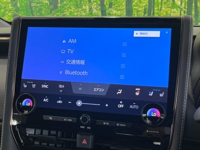 2023 Toyota ALPHARD 缩略图 28