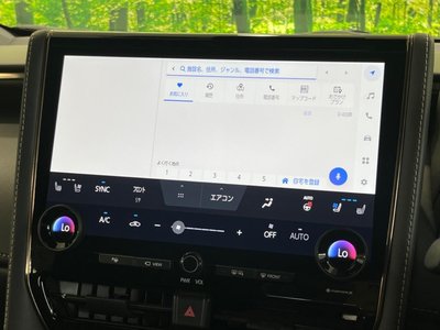 2023 Toyota ALPHARD 缩略图 29