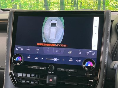 2023 Toyota ALPHARD 缩略图 30