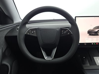 2025 Tesla MODEL 3 thumbnail 19