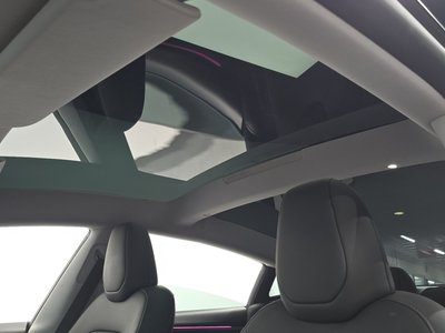 2025 Tesla MODEL 3 thumbnail 28