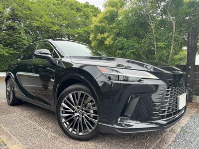 LEXUS RX - 1