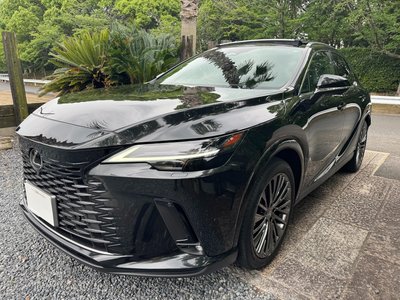 LEXUS RX - 6