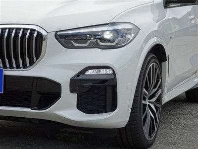 صورة مصغرة 18 لـ 2019 BMW X5