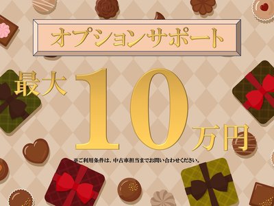 ALFA ROMEO STELVIO - 2