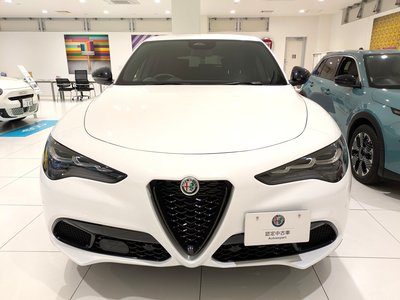 ALFA ROMEO STELVIO - 3