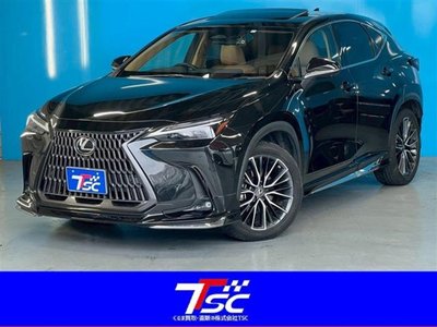 LEXUS NX - 1