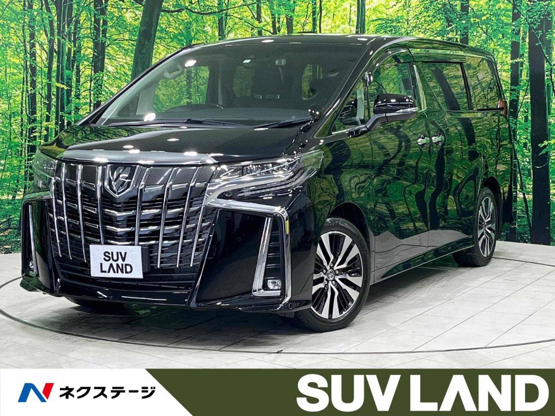 TOYOTA ALPHARD - View 1