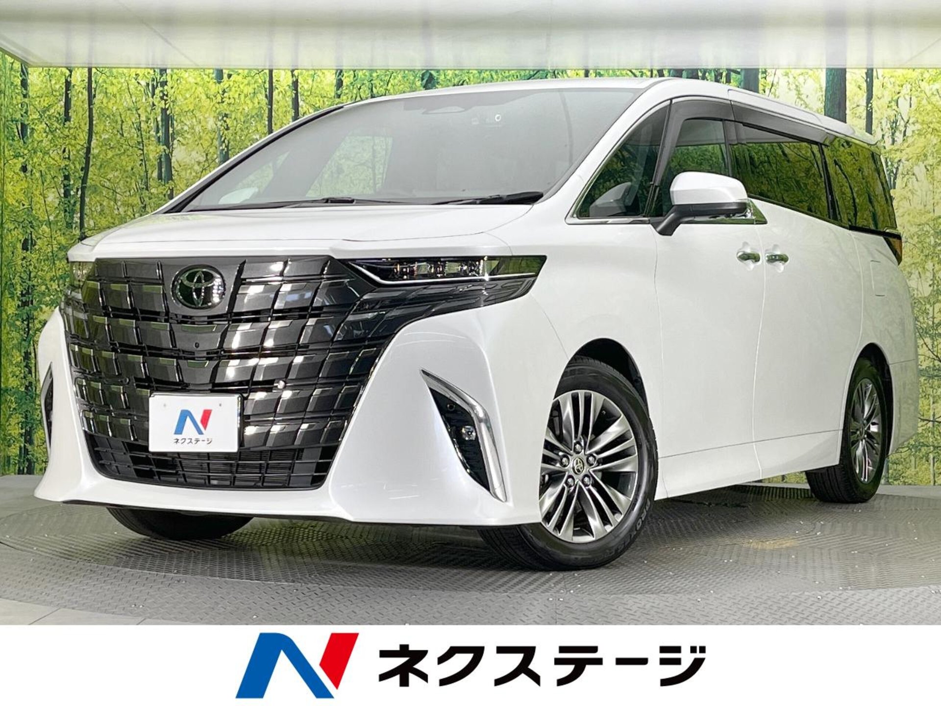 TOYOTA ALPHARD - View 1