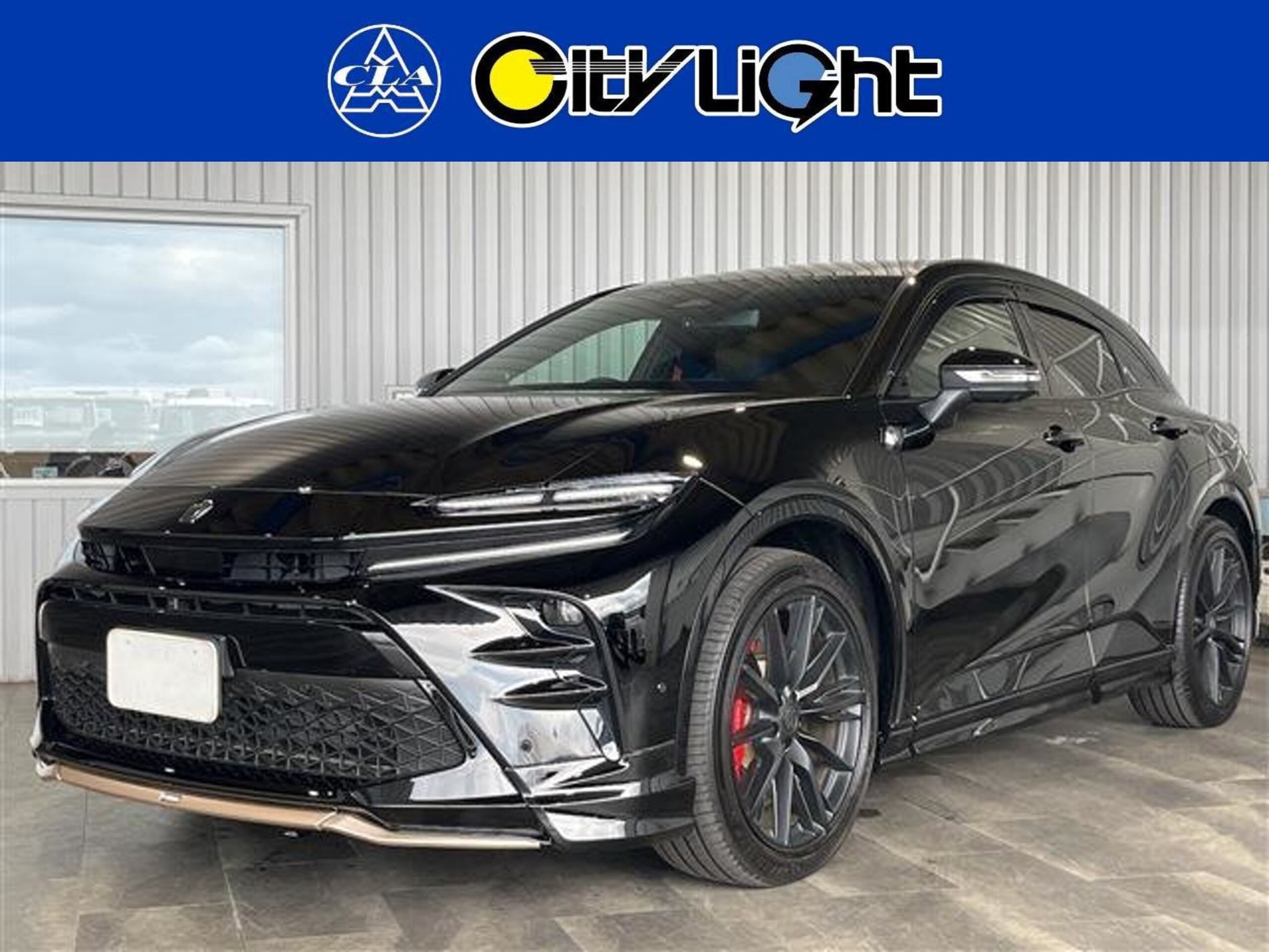 TOYOTA CROWN SPORT - View 1