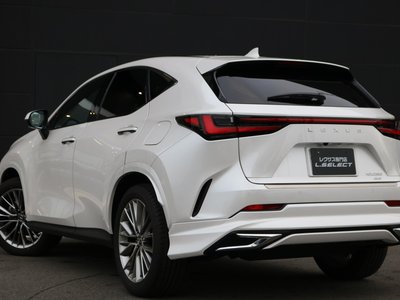 LEXUS NX - 8