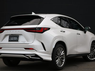 LEXUS NX - 10