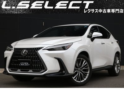LEXUS NX - 1