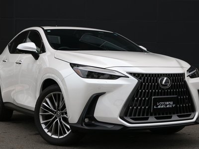 LEXUS NX - 6