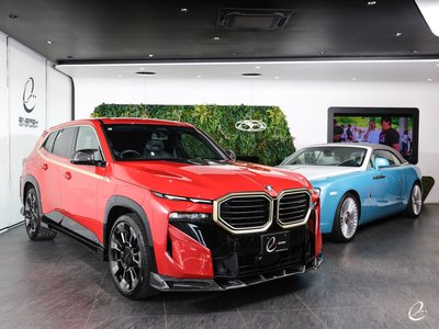 2024 BMW XM 缩略图 31