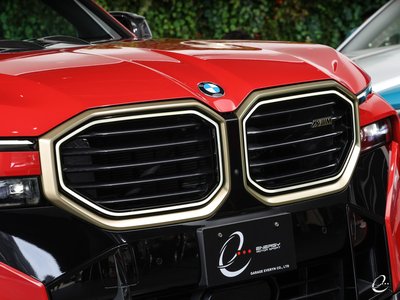 2024 BMW XM 缩略图 18