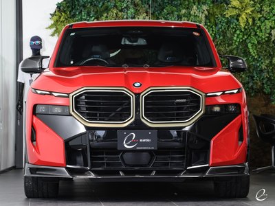 2024 BMW XM 缩略图 37