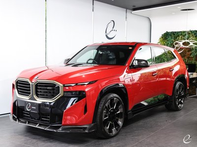 2024 BMW XM 缩略图 41