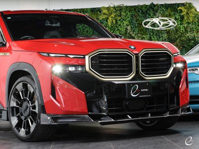 2024 BMW XM 缩略图 16