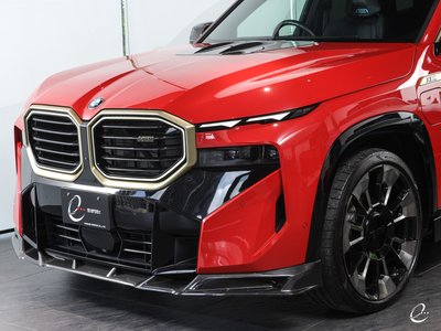 2024 BMW XM 缩略图 40