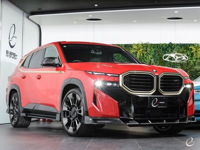 2024 BMW XM 缩略图 15