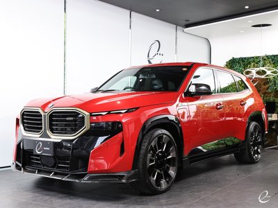 2024 BMW XM 缩略图 42