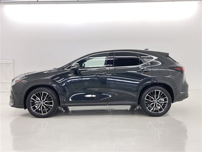 صورة مصغرة 17 لـ 2025 Lexus NX