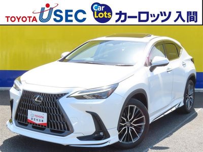 LEXUS NX - 1
