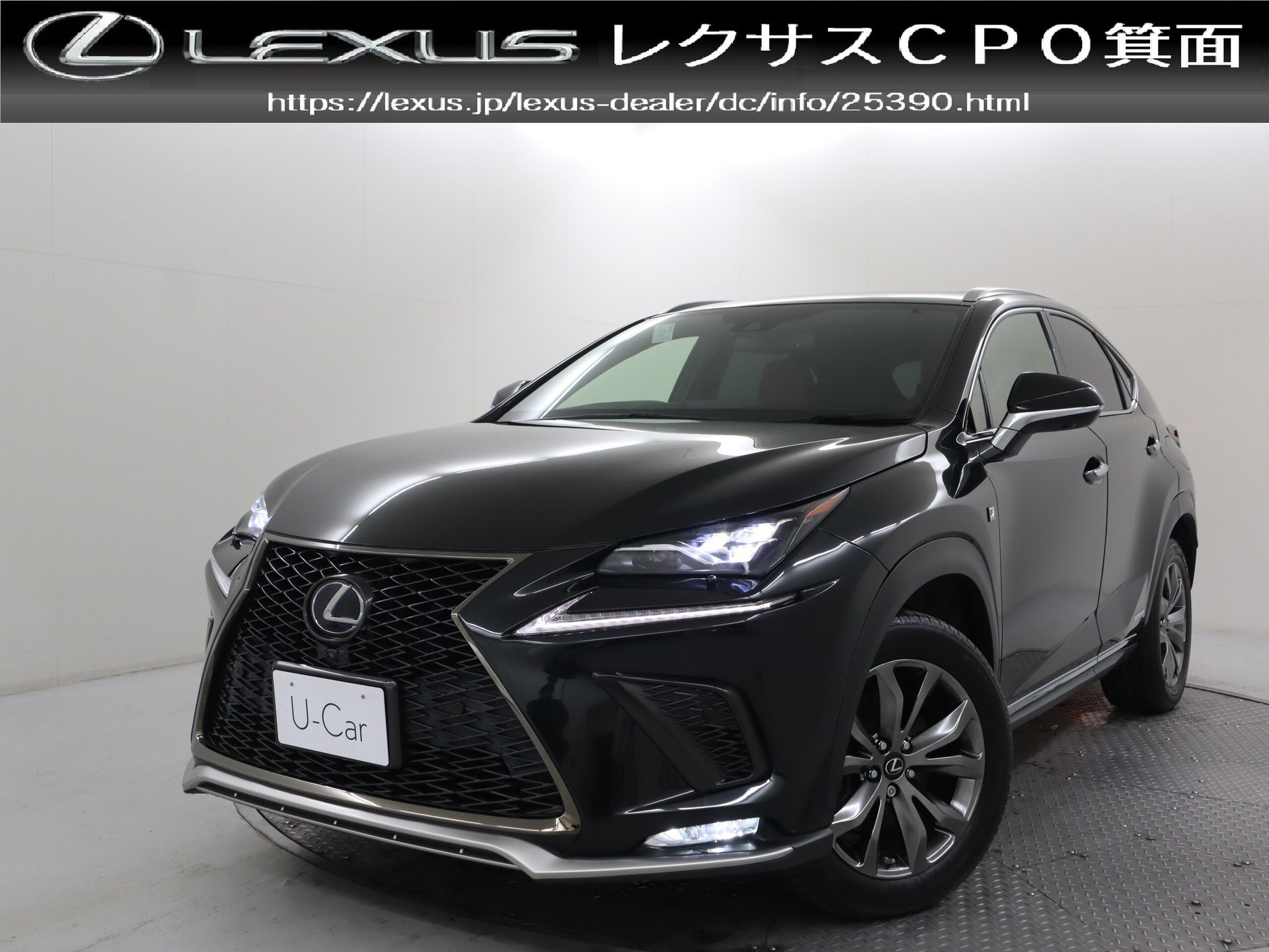 LEXUS NX - View 1