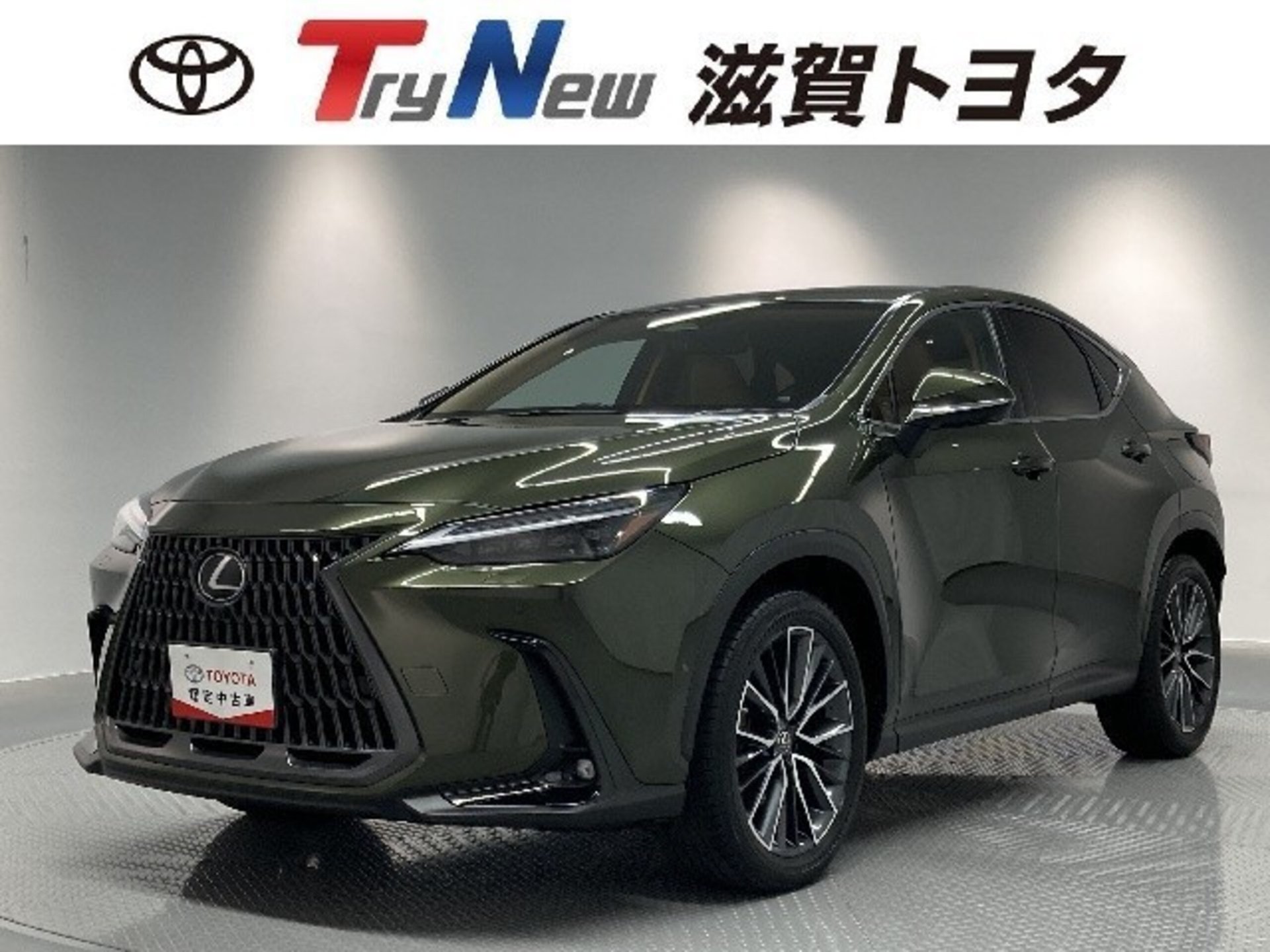 LEXUS NX - View 1