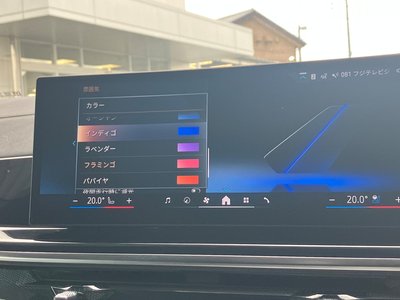 2025 BMW X7 缩略图 43