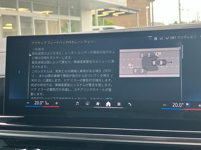 2025 BMW X7 缩略图 38