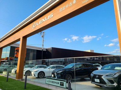 صورة مصغرة 16 لـ 2025 Lexus NX