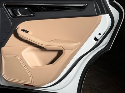 2019 Porsche MACAN 缩略图 19