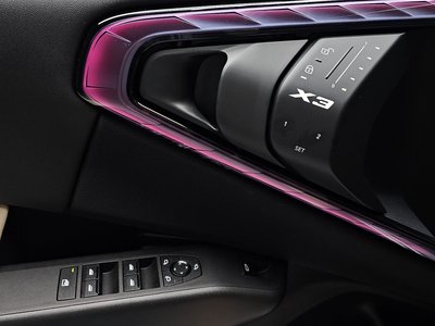 صورة مصغرة 28 لـ 2025 BMW X3