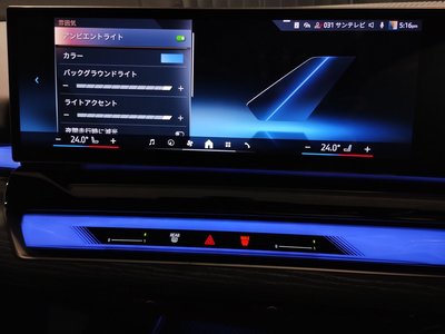 2024 BMW 5 SERIES 缩略图 59