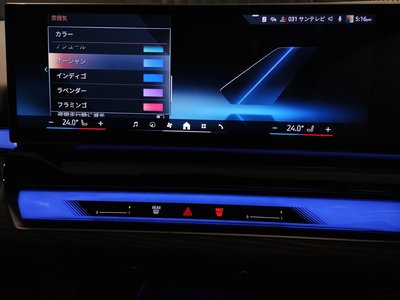 2024 BMW 5 SERIES 缩略图 60