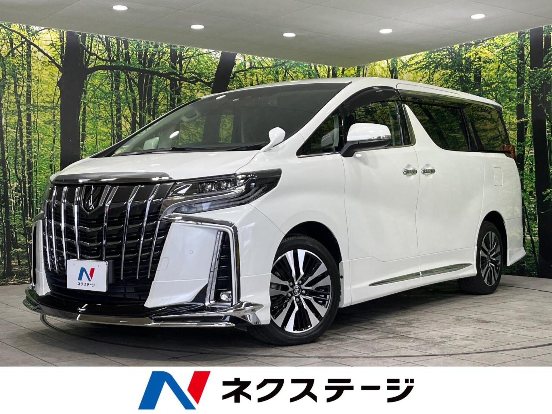 TOYOTA ALPHARD - View 1