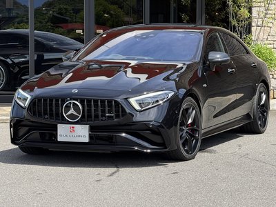 2024 Mercedes-BENZ CLS AMG — миниатюра 43