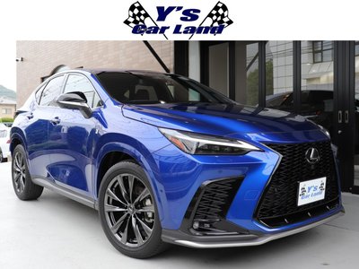 LEXUS NX - 1