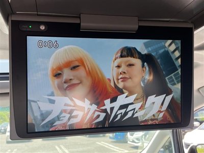 TOYOTA ALPHARD - 7