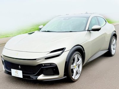 FERRARI PUROSANGUE - 5